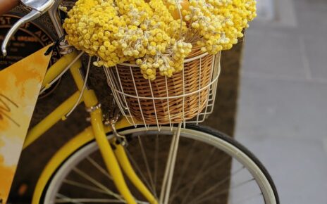 Yellow Flowers in Brown Woven Basket on Bicycle